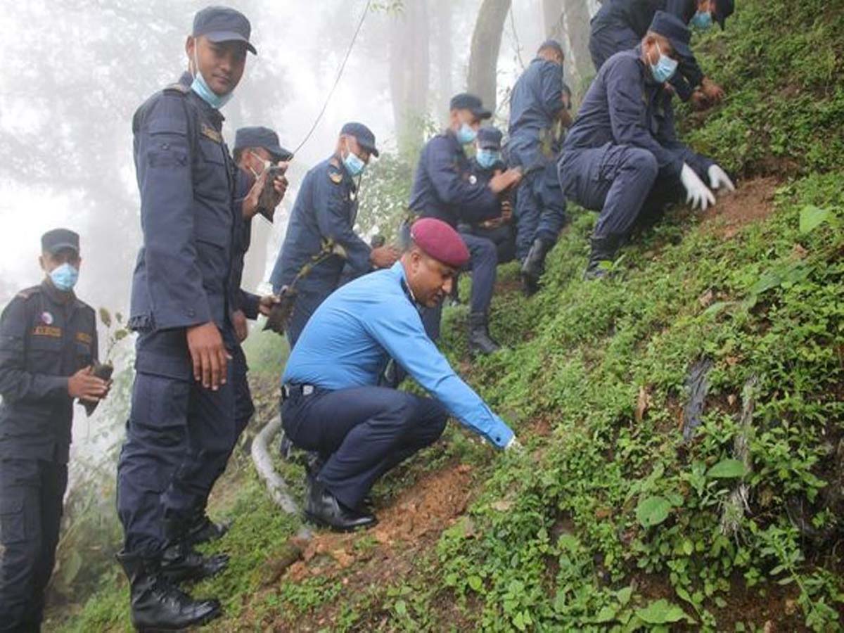 प्रहरी दिवसको अवसरमा वृक्षारोपण 